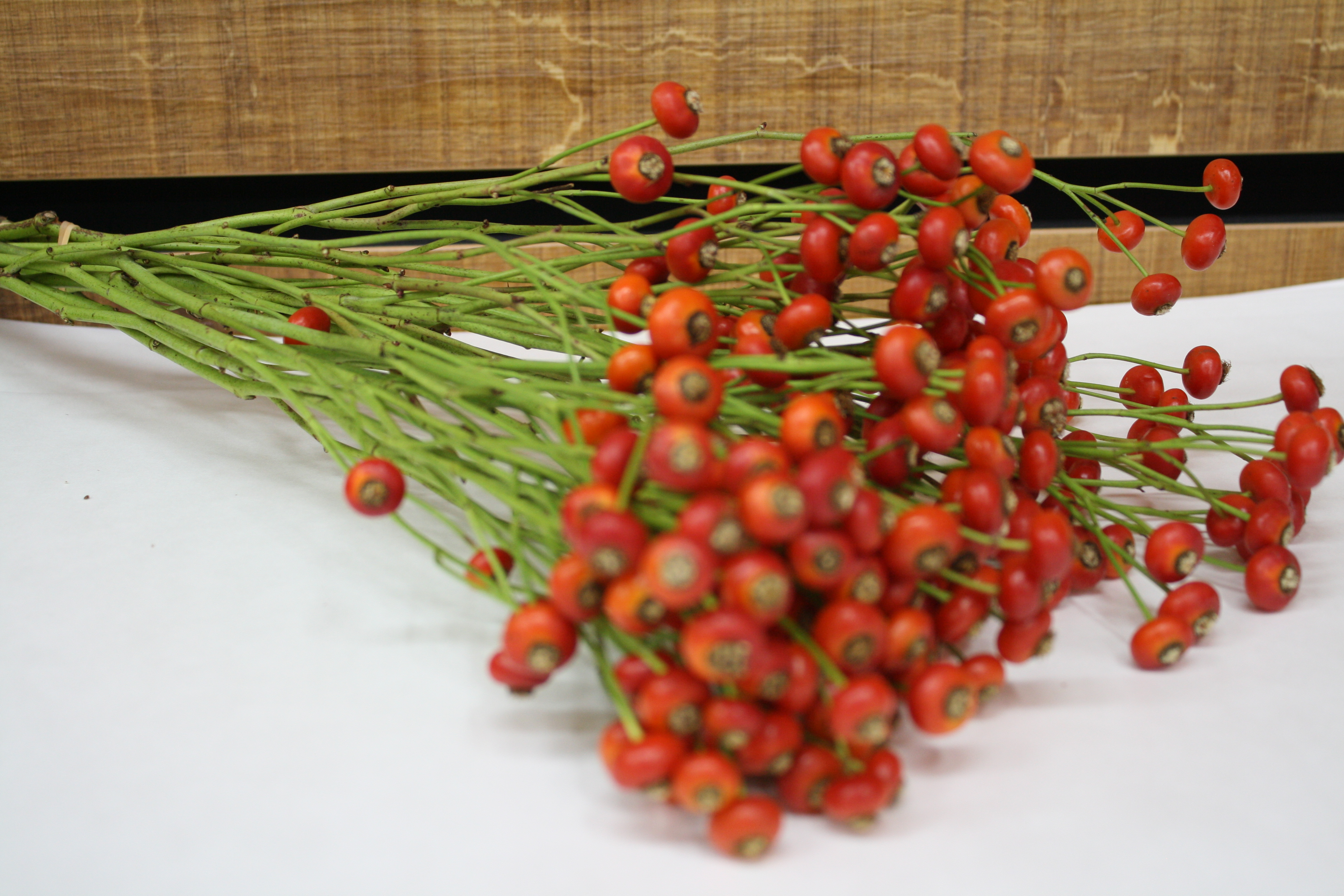 バラの実 センセーショナルファンタジー | FLORE21